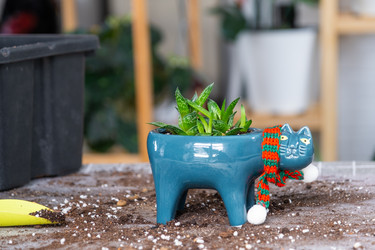 Similar image 21479697