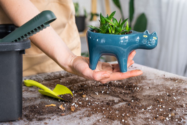 Similar image 21479698