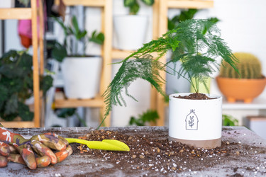 Similar image 21479699