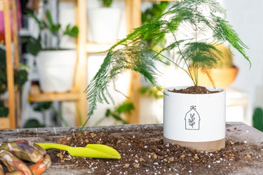 Similar image 21479700