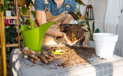 Similar image 21479706