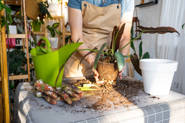 Similar image 21479707