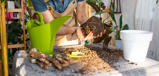 Similar image 21479708