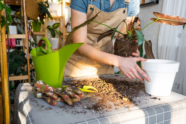 Similar image 21479709