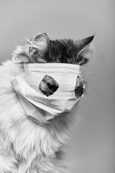 Similar image 21471630