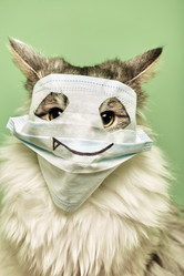 Similar image 21472046