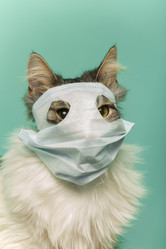 Similar image 21472048