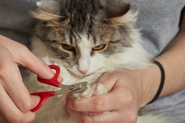 Similar image 21472049