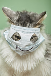 Similar image 21472050