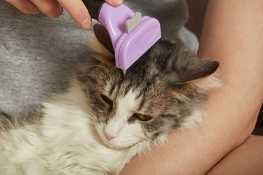 Similar image 21472053