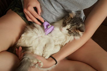 Similar image 21472055