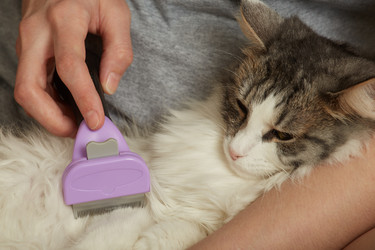 Similar image 21472056