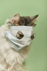 Similar image 21472057