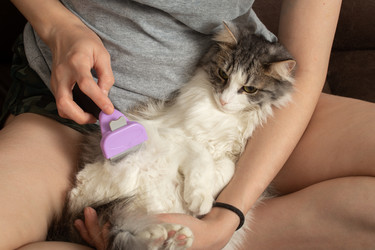 Similar image 21472059