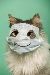 Similar image 21472060