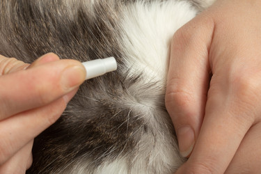 Similar image 21472065