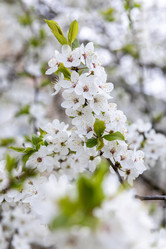 Similar image 21471572