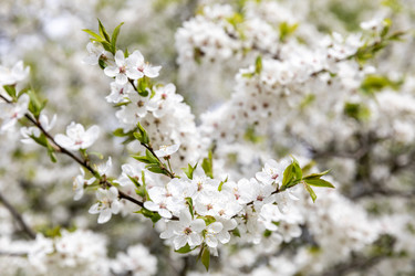 Similar image 21471573