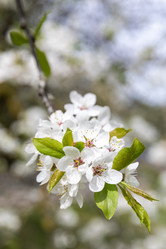 Similar image 21471574