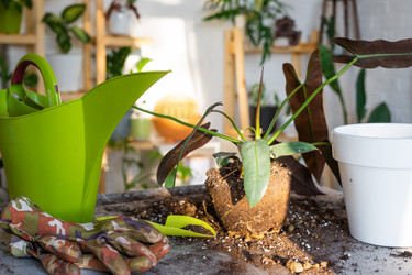 Similar image 21479714