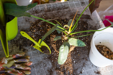 Similar image 21479716