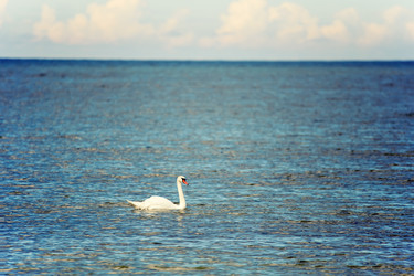 Similar image 21476258