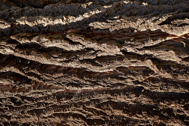 Similar image 21476261