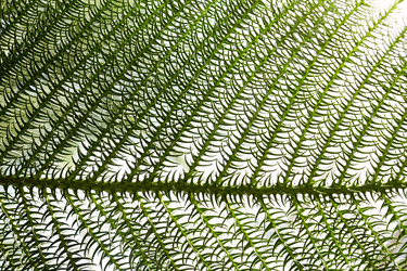 Similar image 21476262