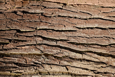 Similar image 21476263