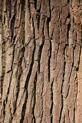 Similar image 21476264