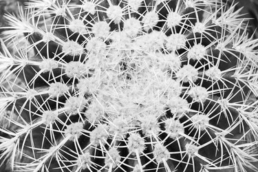 Similar image 21476266