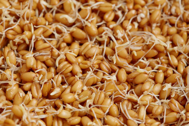 Similar image 21476267