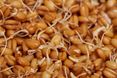 Similar image 21476269