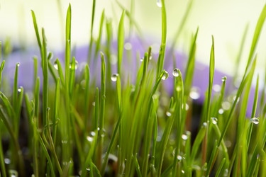 Similar image 21476270