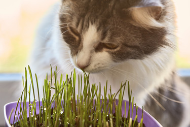 Similar image 21476272