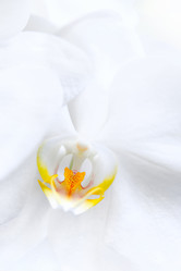 Similar image 21476274