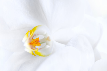 Similar image 21476275