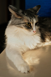 Similar image 21476278