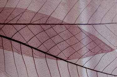 Similar image 21474787