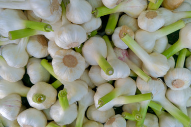 Similar image 21474789