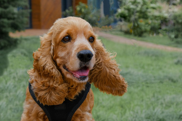 Similar image 21474797