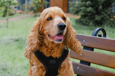 Similar image 21474798