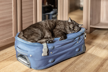 Similar image 21475196