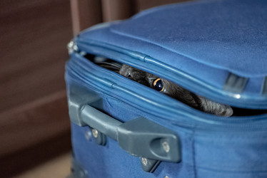 Similar image 21472709