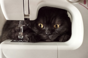 Similar image 21472710