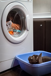 Similar image 21475198