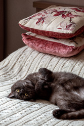 Similar image 21475199