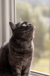 Similar image 21472711