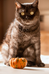 Similar image 21475200