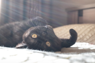 Similar image 21472713